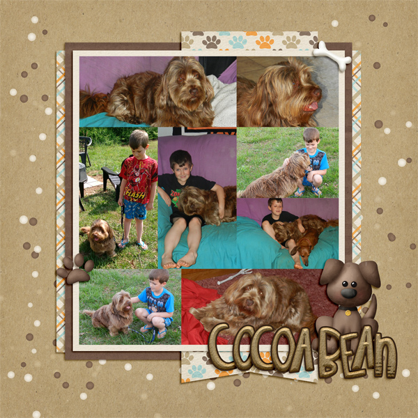 CocoaBean