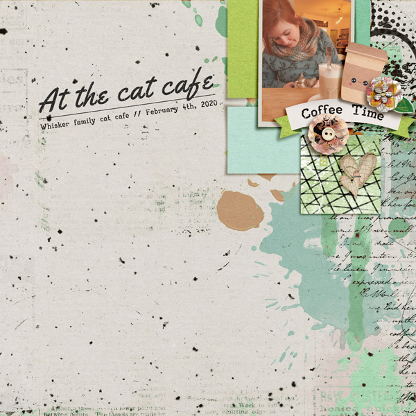 Coffee Time At The Cat Cafe
