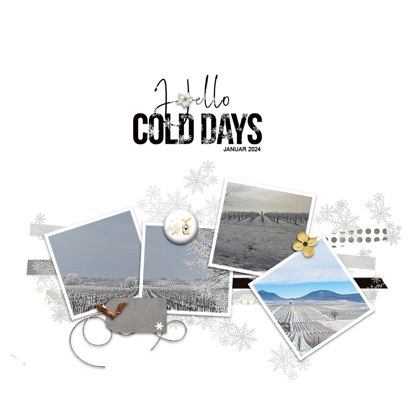cold  days