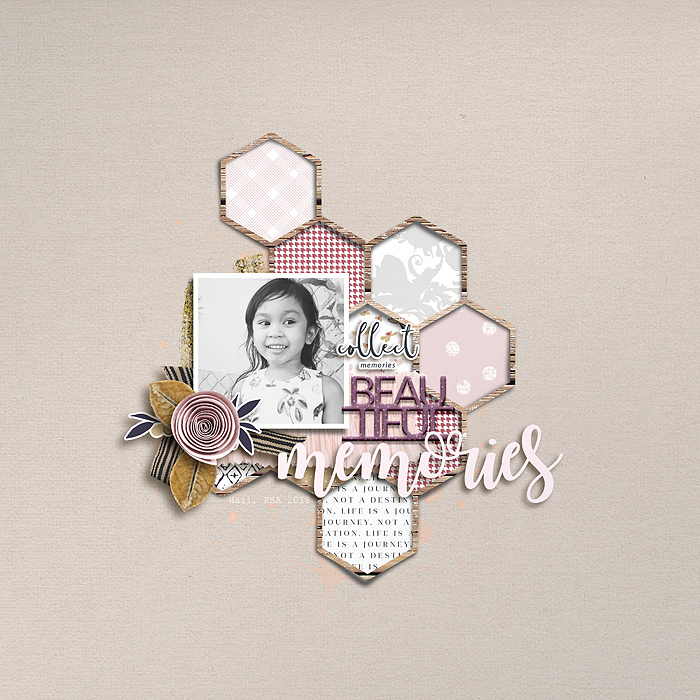 Collect Beautiful Memories