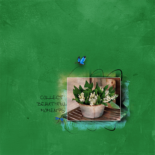 Collect-beautiful-moments