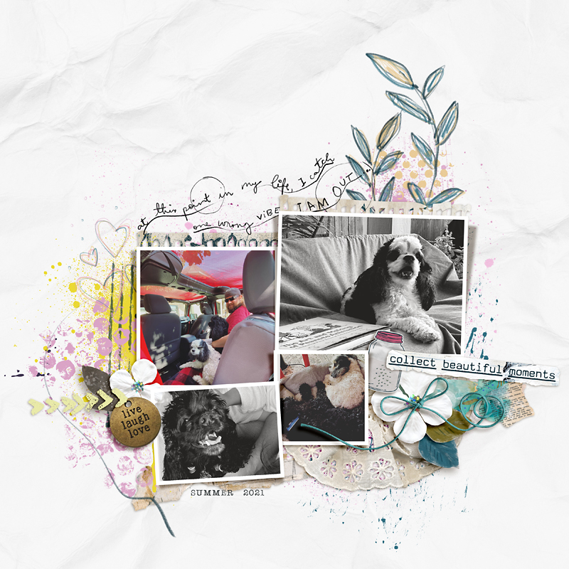 Collect Beautiful Moments