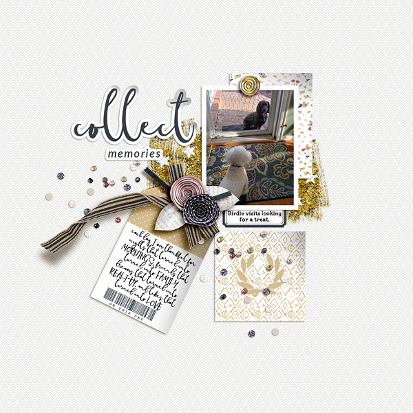 Collect Memories