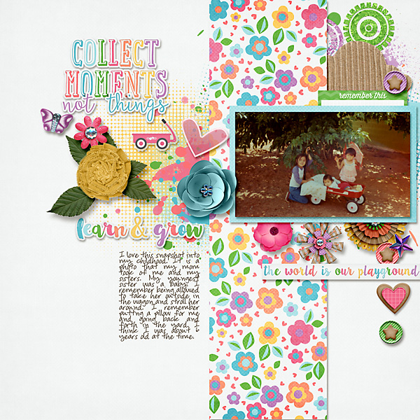 Collect Moments Not Things