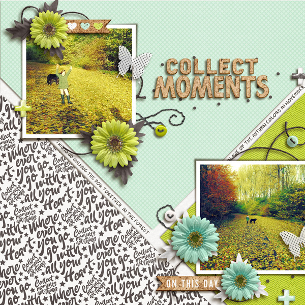 Collect Moments