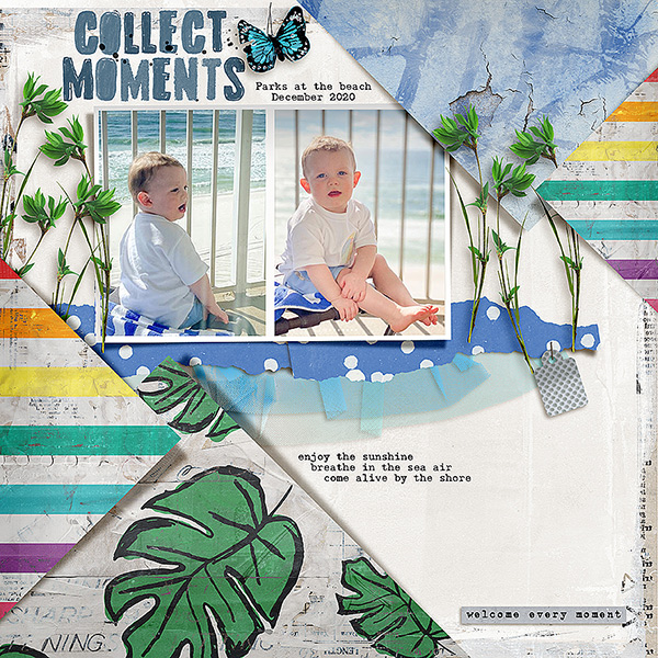 Collect Moments