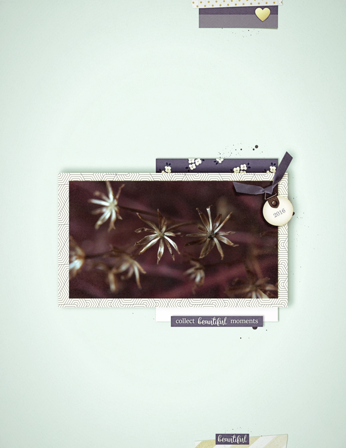 CollectBeautifulMoments