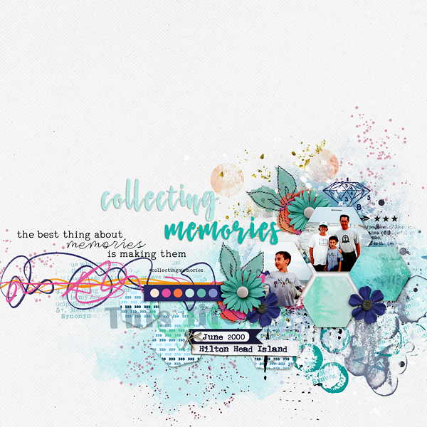 Collecting Memories