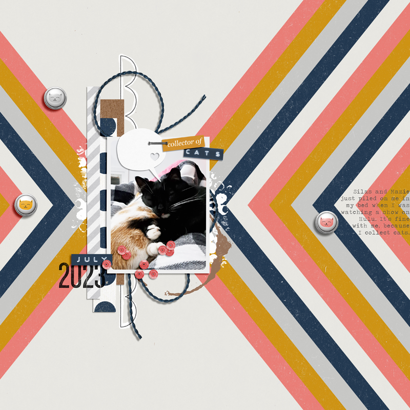 Collector Of Cats