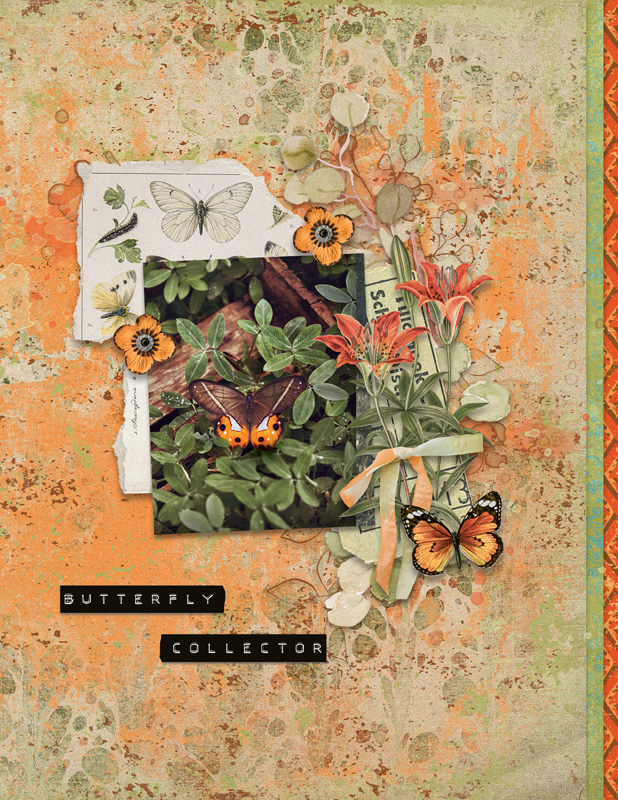 Collector