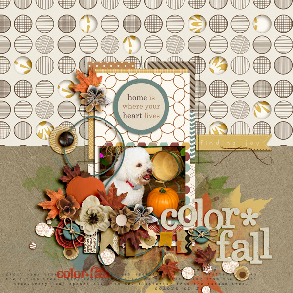 Color*Fall