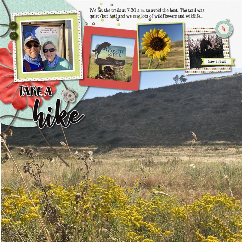Colorado Hiking - SWL August 2020 MBC, Take A Hike By Designed By Soco