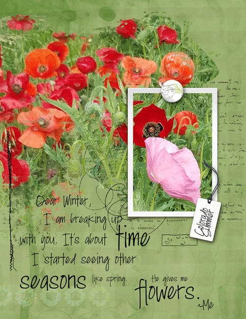 Colorado-poppies-web