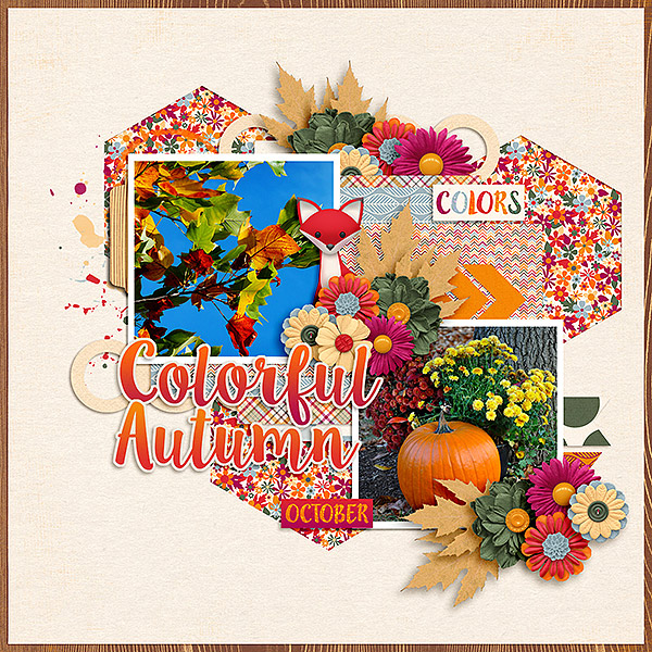 Colorful Autumn