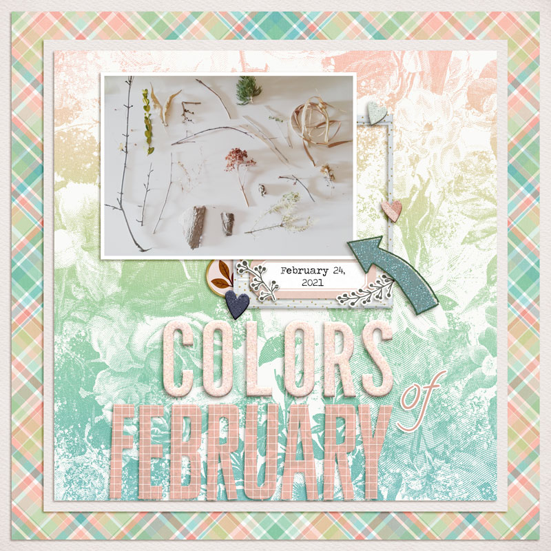 Colors of February - LEAP Photography Flat Lay