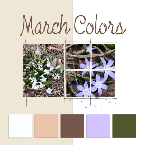 Colors of March