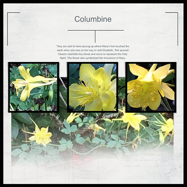 Columbine