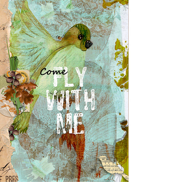 COME FLY WITH ME