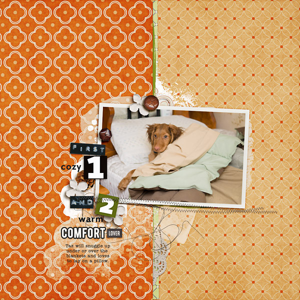 Comfort Lover