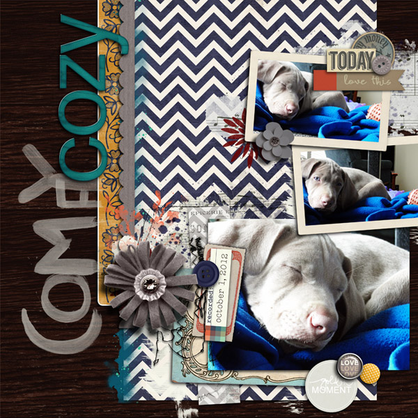 Comfy Cozy