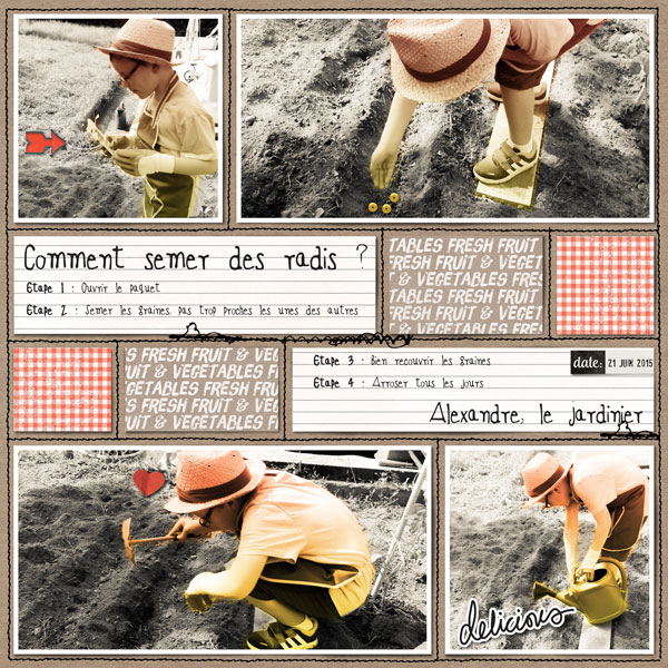 Comment semer des radis