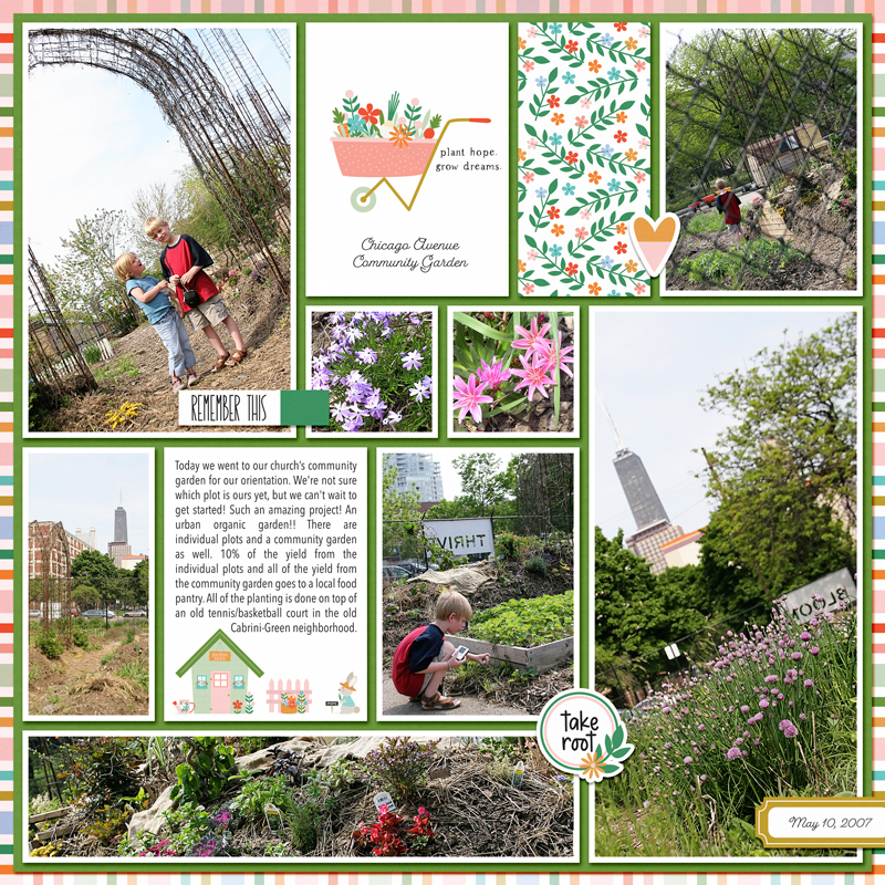 Community Garden 2007