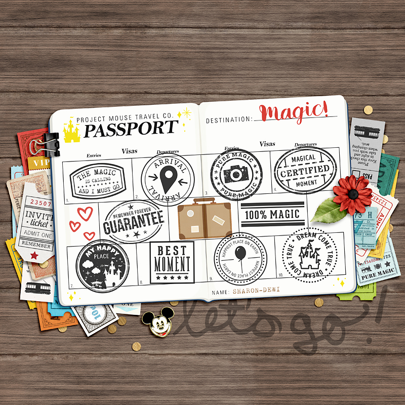 Completed Passport