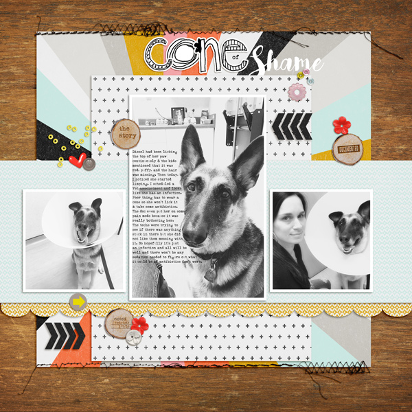 Cone Of Shame - MOC Jan. 7