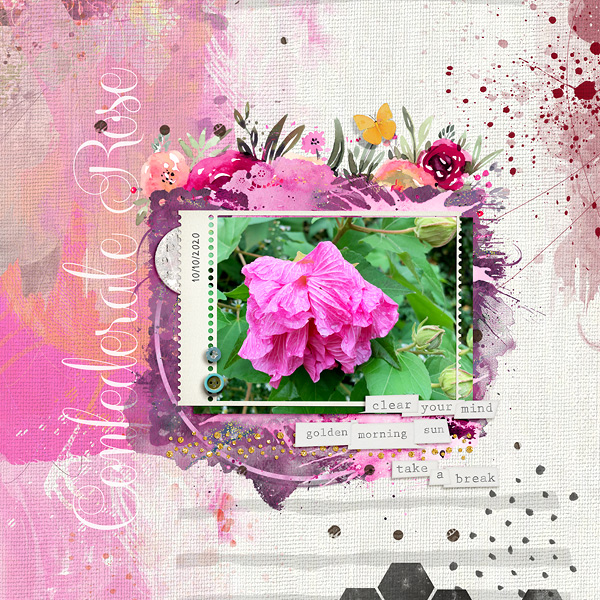 Confederate Rose