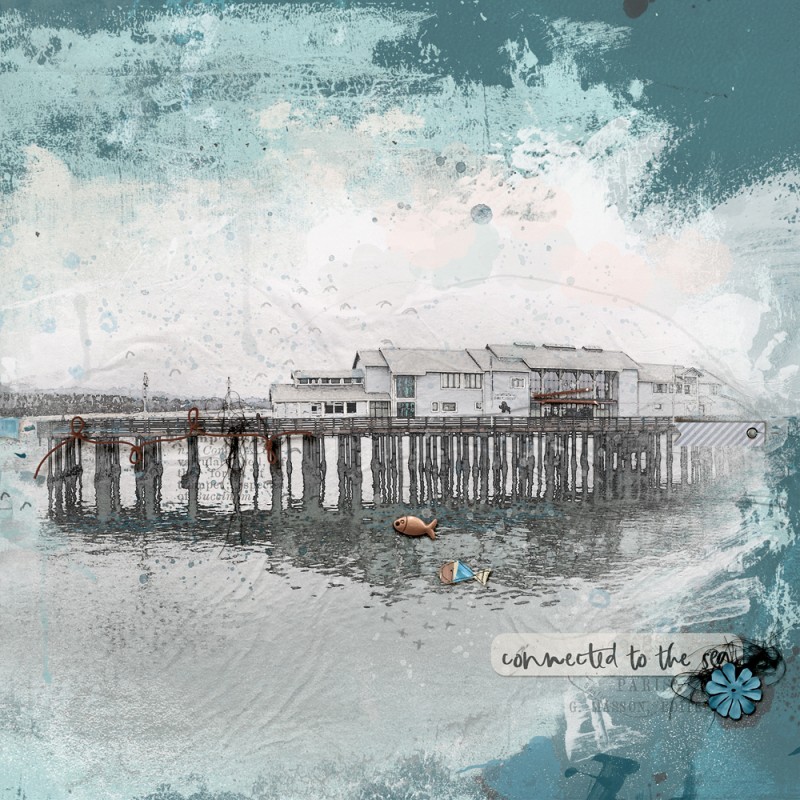 Connected to the Sea