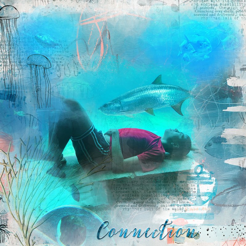 Connection