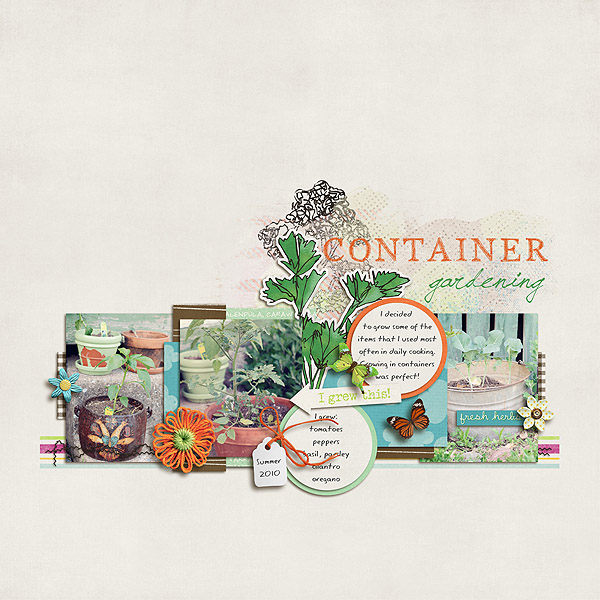 Container Garden