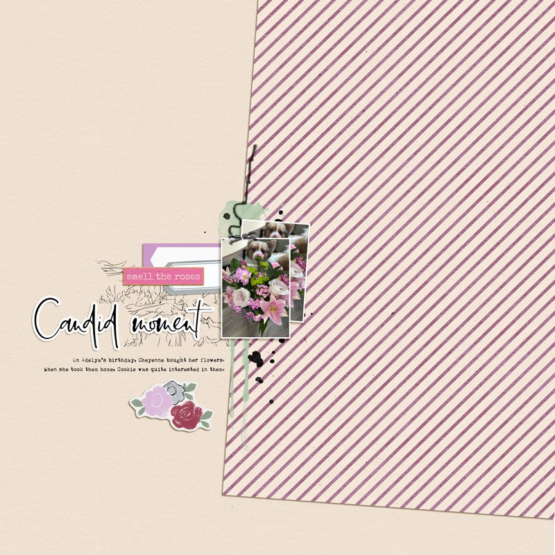 Cookie's Flowers