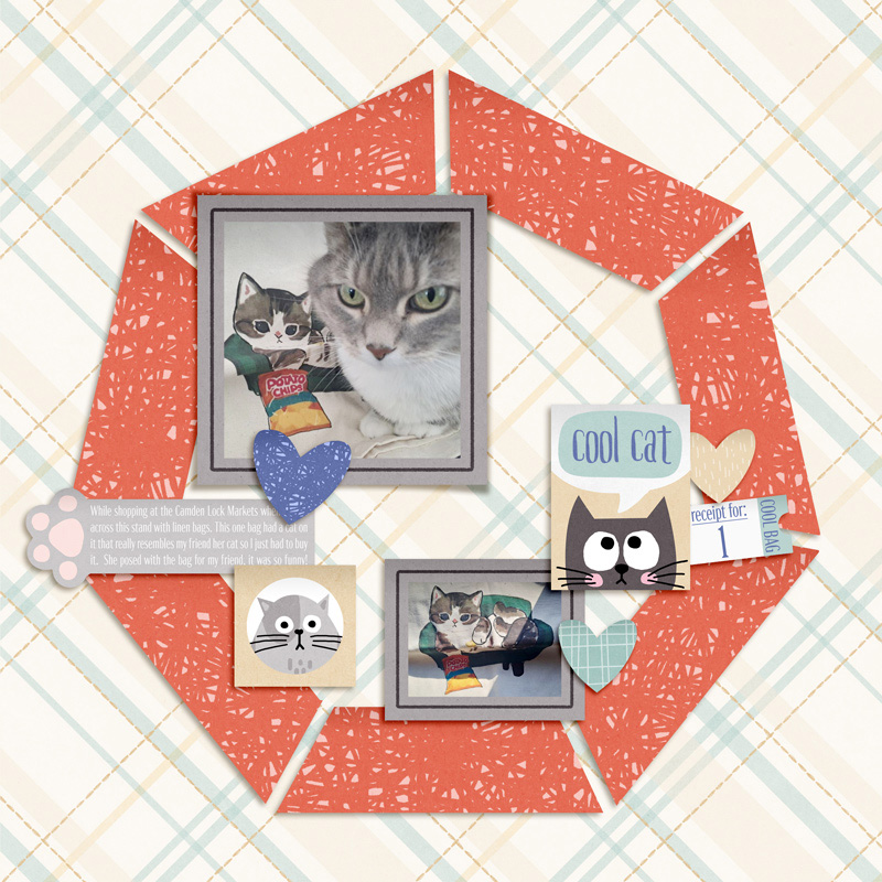 Cool Cat Bag