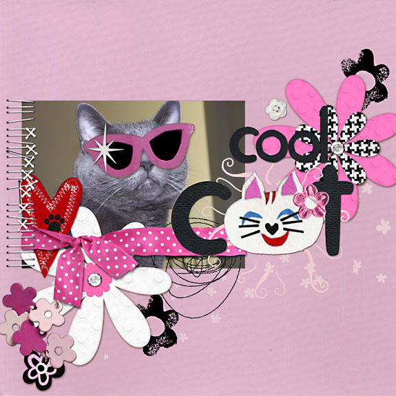 cool cat