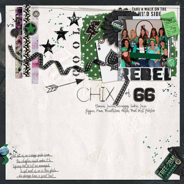 Cool Chix of 66