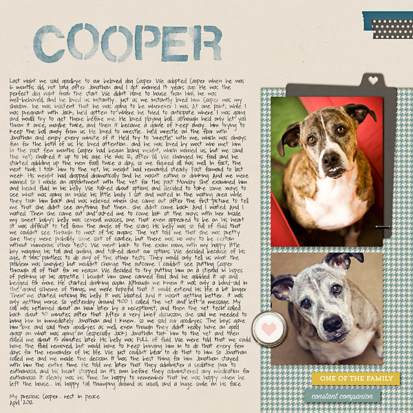 Cooper