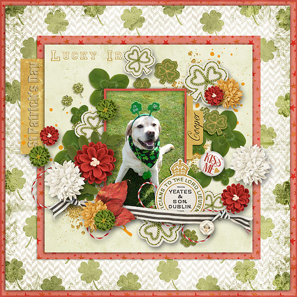 Coopers St.Patrick Day