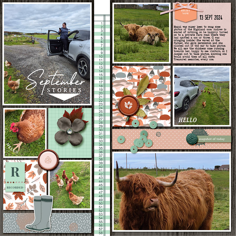 Coos