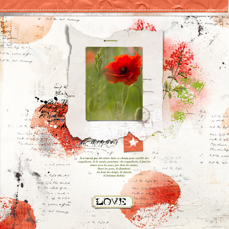 Coquelicot