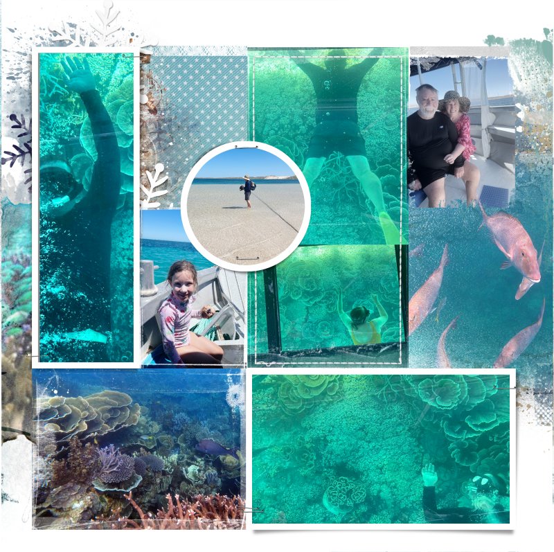 Coral Bay Rp Jpg