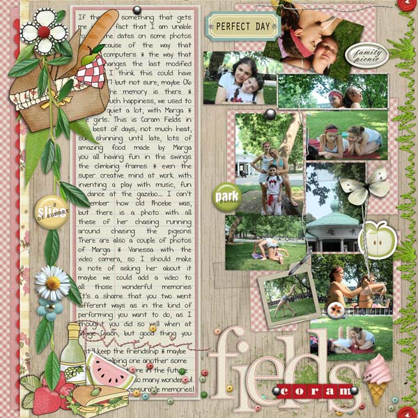 Coram Fields Picnic