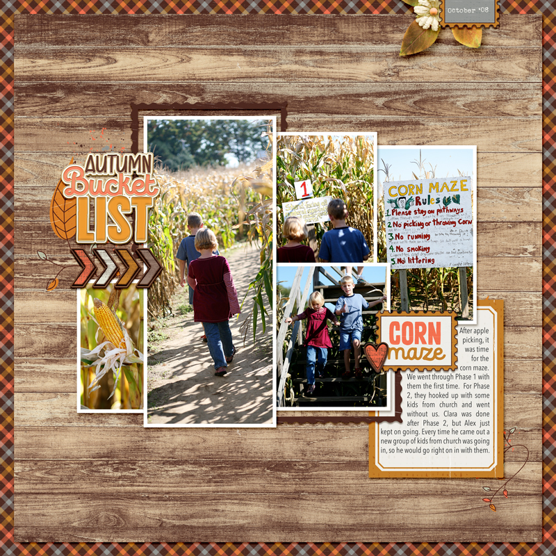 Corn Maze 2008
