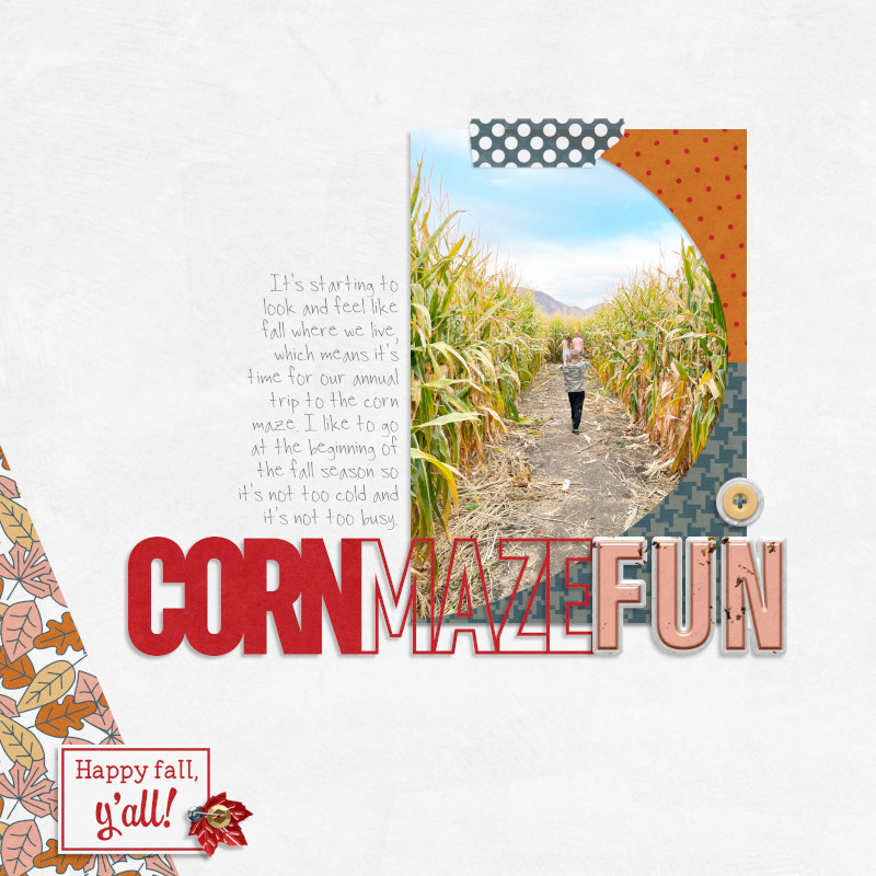 Corn Maze Fun