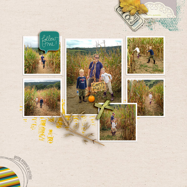 corn maze