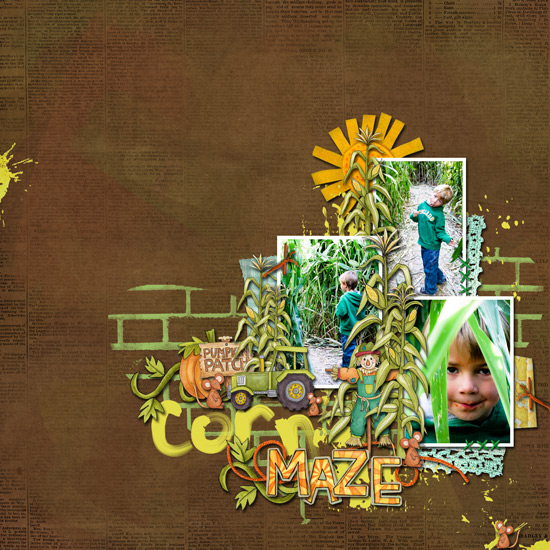corn maze
