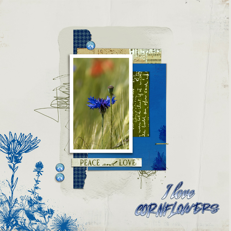 Cornflowers