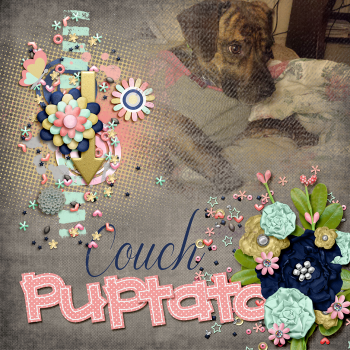 Couchpuptatobellasm