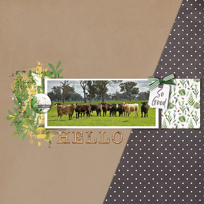 Country Hello