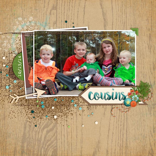 Cousins-2014-2